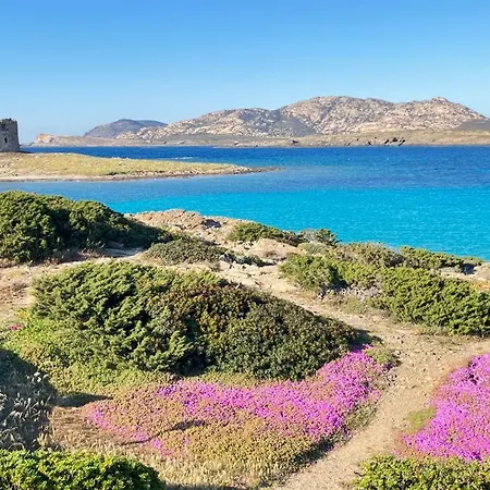 Con Giardino, Piscina E Vista Mare Daire *